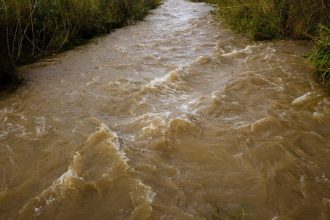 Rio barrento correndo com força por uma paisagem natural após fortes chuvas.