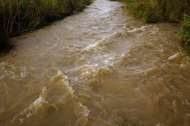 Rio barrento correndo com força por uma paisagem natural após fortes chuvas.