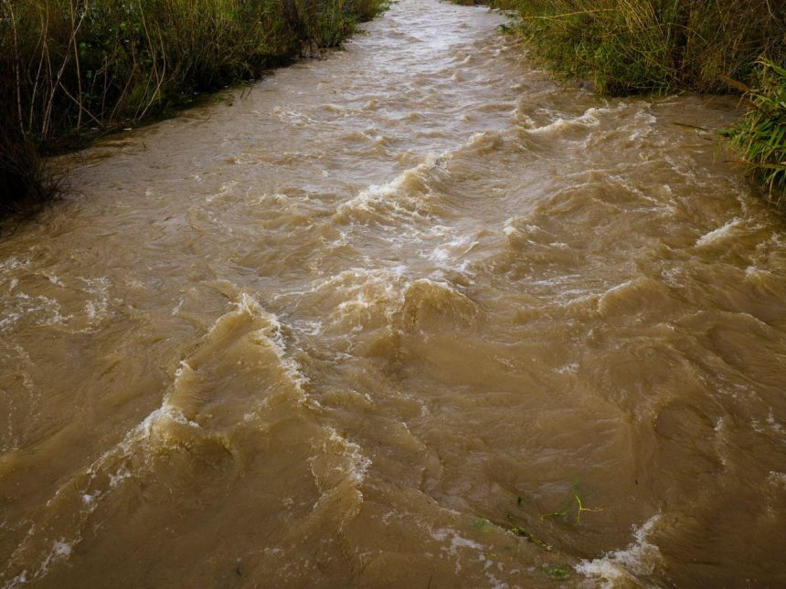 Rio barrento correndo com força por uma paisagem natural após fortes chuvas.